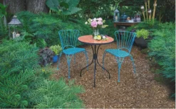 Soft Caress Mahonia - 1 Gallon Pot -Outlet Leaf Echoes Store Mahonia Soft Caress 13 2