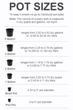 Outlet Leaf Echoes Store -Outlet Leaf Echoes Store pot size chart 2022 435